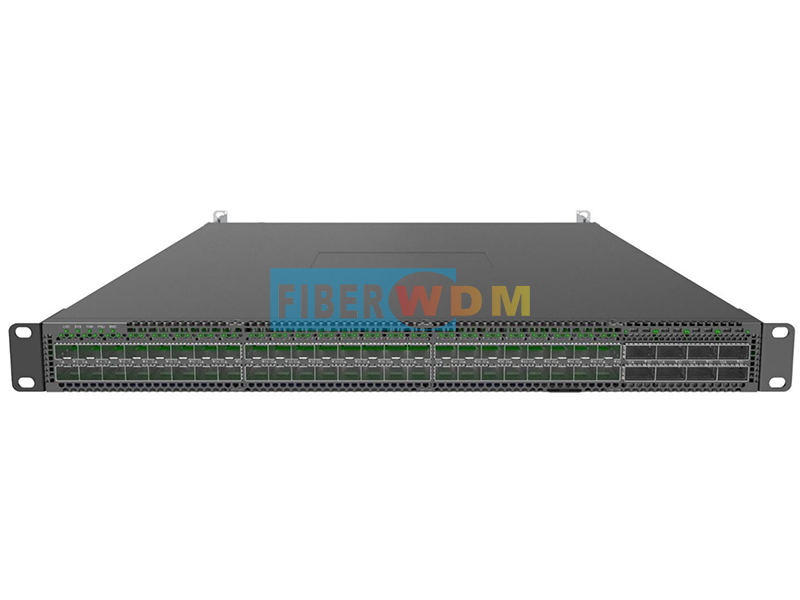 Data Center Switch 48x100Ge DSFP ports and 8x400Ge QSFP-DD uplink ports DS610